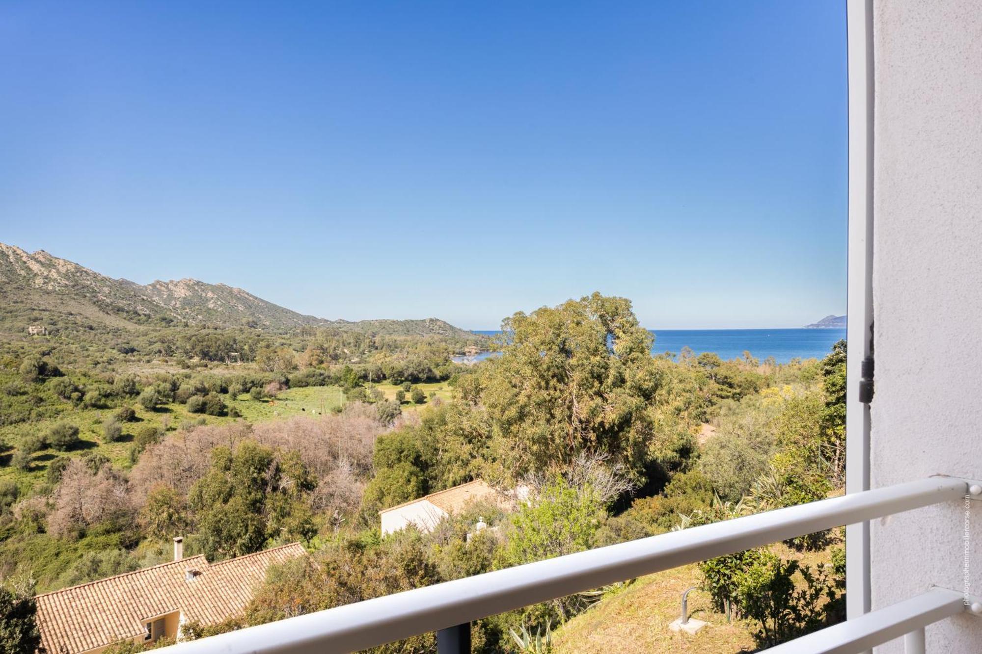 Appartement Vue Mer Fromontica Saint-Florent  Eksteriør bilde